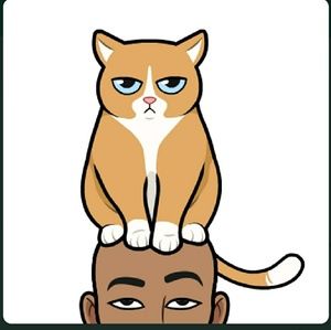 Meet your Posher, Nazim